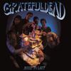 Grateful Dead : Built to last
