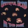 Grateful Dead : In the dark