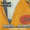 Teenage Fanclub : Neil Jung (Alternative Version)
