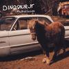 Dinosaur Jr : The Black Session