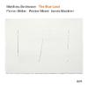 Matthieu Bordenave Quartet : The blue land