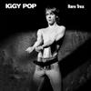 Pop, Iggy : Rare trax