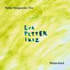 Petter Bergander Trio : Watershed