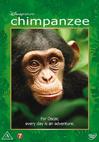Chimpanzee