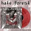 Hate Forest : Justice