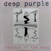 Deep Purple : Rapture Of The Deep