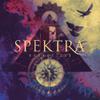 Spektra : Hypnotized