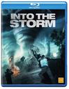 Myrskyn silmässä - Into the Storm