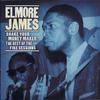 James, Elmore : Shake Your Moneymaker: The Best Of The Fire Sessions