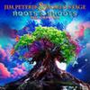 Jim Peterik and World Stage : Roots & Shoots Vol. 2