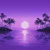 Purple Disco Machine : Paradise