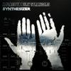 A Place To Bury Strangers : Synthesizer