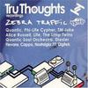 V/A : Tru Thoughts / Zebra Traffic Sampler