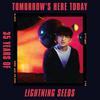 Lightning Seeds : Tomorrow's here today