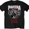 Pantera : Vulgar display of power 30th