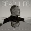 Gray, David : Dear Life