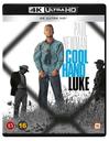 Lannistumaton Luke - Cool Hand Luke