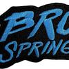 Springsteen, Bruce : The River Logo