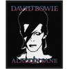 Bowie, David : Aladdin sane
