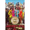 Beatles : Sgt pepper