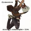 Flickerstick : Causing A Catastrophe - Live