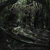 Cryptopsy : Book Of Suffering: Tome 2